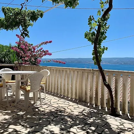Vacation Caca *