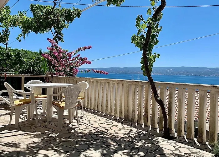 Vacation Caca *