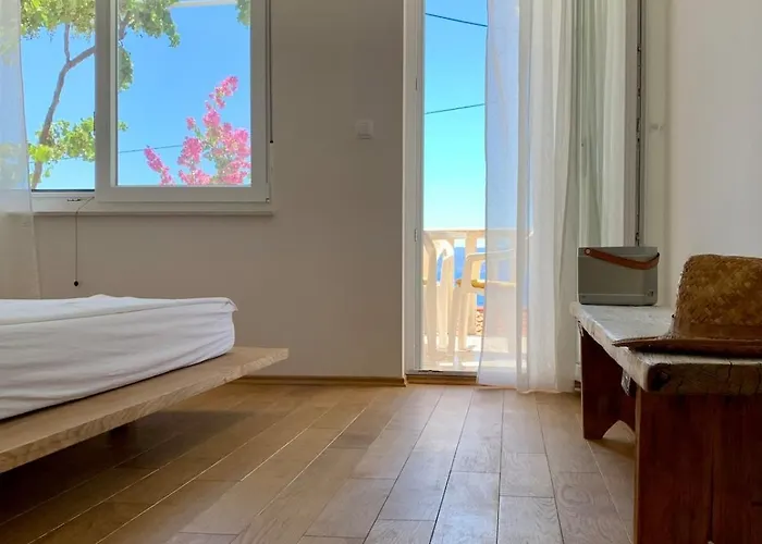 Vacation Caca *